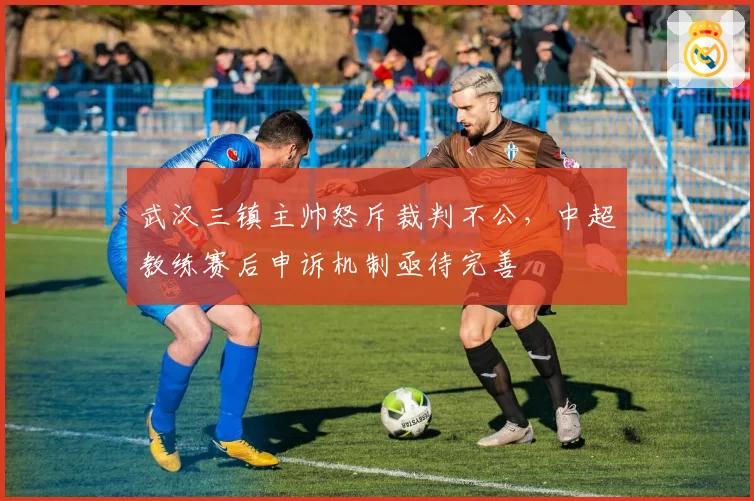 武汉三镇主帅怒斥裁判不公，中超教练赛后申诉机制亟待完善