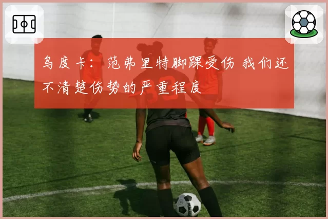 乌度卡：范弗里特脚踝受伤 我们还不清楚伤势的严重程度