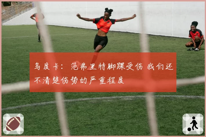 乌度卡:范弗里特脚踝受伤 我们还不清楚伤势的严重程度
