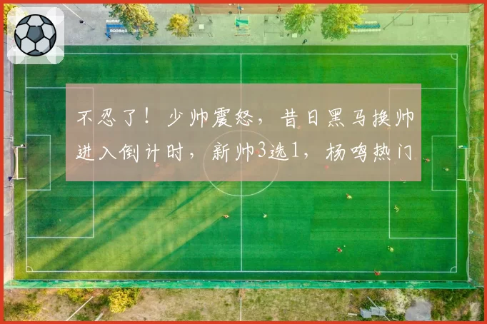 不忍了！少帅震怒，昔日黑马换帅进入倒计时，新帅3选1，杨鸣热门